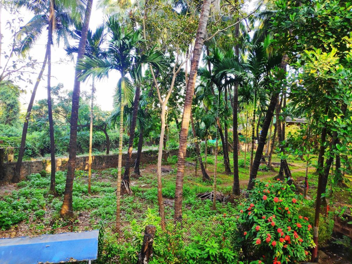 Ashish Baug Cottage Alībāg Extérieur photo